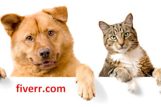 make a banner with my pets