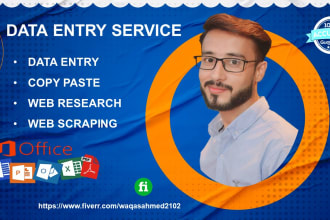 do accurate data entry, web research, copy paste, excel data