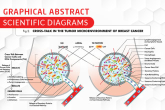 design scientific illustrations, publication image, graphical abstract