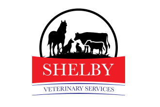 design awesome veterinary clinic logo within 14 hours