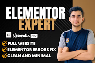design a trendy wordpress elementor pro website and fix bugs