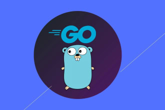 develop, fix, your backend rest api, or project in golang