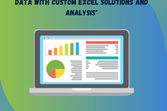 excel genius at work delivering tailored data solutions and insights