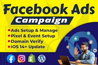 setup and manage facebook ads campaign for leads and sales