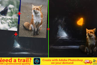 create photo manipulation with fast turnaround