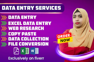 do accurate excel data entry web research and copy paste job