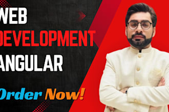 be your expert angular developer for high quality web applications