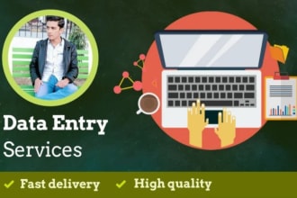 do fastest data entry , mining, scraping and pdf file conversion