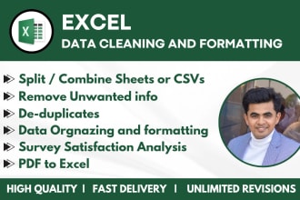 professionally clean, organize and analyze excel, spreadsheet, or CSV data