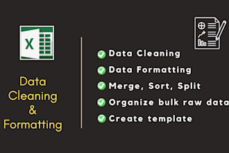 clean organize and format excel data