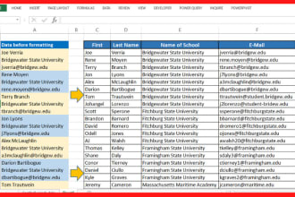 clean organize and format excel data