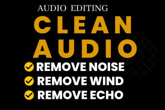 remove noise, wind, echo, repair and clean your audio