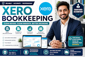 do xero bookkeeping cleanup and bank reconciliation