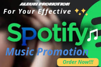 pitch your spotify music promotion to 55k playlist curator