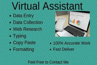 do data entry, web researching, copy paste email, address, website as your VA