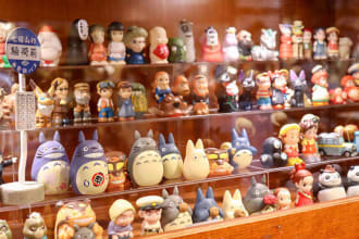be your personal buyer and support to ship it from japan