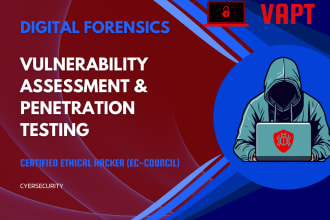 do vulnerability assessment, penetration testing, vapt, VA