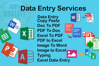 excel data entry, online survey, form filling, files conversion