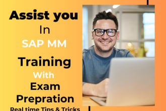 provide sap mm front end and consultant level training