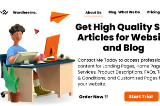 do professional copywriting for websites, products, or blog