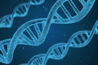 help in genetics,cell biology,pharmacology and pathology