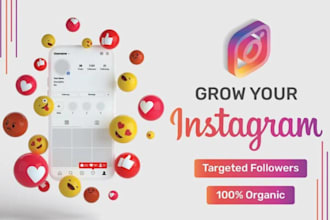 do instagram promotion and grow your page organically