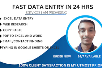 do fast excel data entry, pdf conversions, copy paste, find emails in 24 hrs