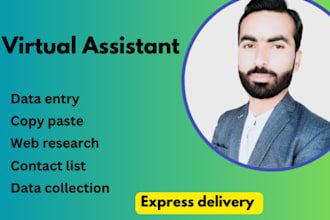 do excel data entry, data collection, web research, copypaste, contact list