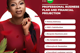 offer business plan writing services
