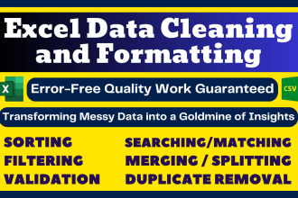 do ms excel data cleaning and formatting, merging, splitting, sorting, deduping