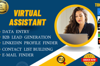 be virtual assistant for data entry, email address finder company address finder