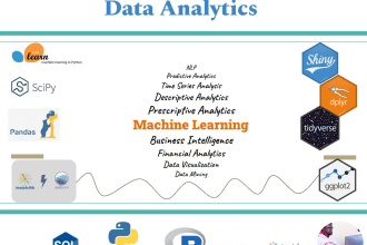 do data science, machine learning, and statistical analysis