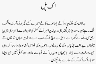 translate your writings from urdu punjabi to english