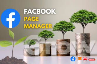 grow your facebook page organically for your business