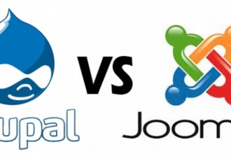 do bug fixes and create new joomla and drupal website