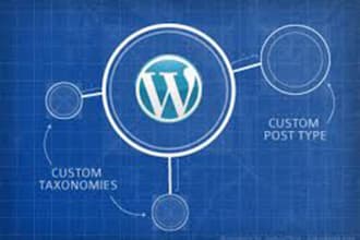 solve your wordpress errors or customize website
