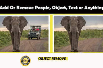 remove unwanted object, text, add watermark, image cut out, cleanup, replacement