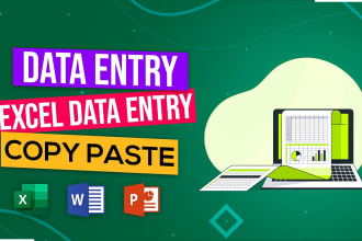 do your freelance data entry work, copy paste, web research and excel data entry