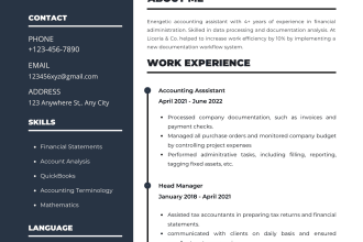 design a professional resume or CV