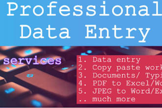 do excel data entry