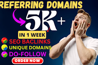 build 1k to 5k seo backlinks  referring domains