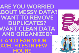 do excel data formatting, data cleaning in short time