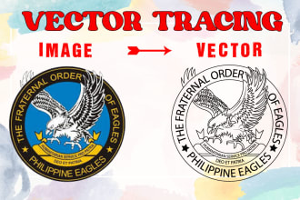 convert raster to vector within 5 hours