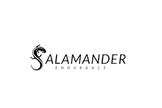 do dynamic brilliant amazing salamander endurance club logo in 1 day