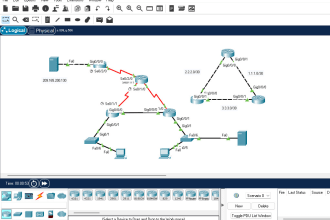 help you ccna packet tracer project and  networking tasks
