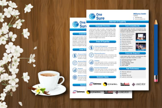 design clean and effective capability statement within 12 hours