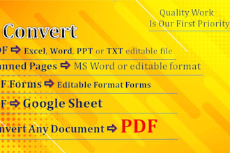 be your virtual assistant for data entry, data mining, copy paste, convert PDF