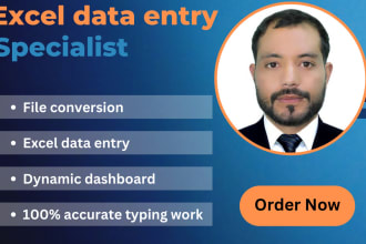 convert pdf to excel or word, data  entry expert, excel data entry work job