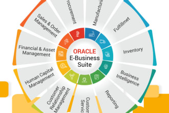 provide your oracle ebs techno functional support