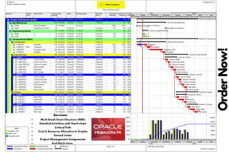 prepare schedule, gantt chart, wbs on primavera p6